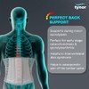 Tynor Lumbo Sacral Belt, Grey, Medium, 1 Unit