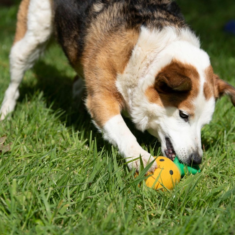 Petface Latex Pineapple Soft Chew Dog Toy, Large