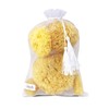 Natural Sea Sponges for Bathing: 5pc Gift in Premium Bag