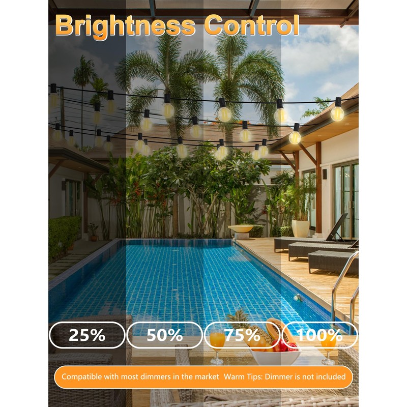 25 Pack G40 LED Replacement Bulb E12 Screw Base LED