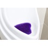 PLITEC Tapete Aromatizante para Mingitorio Seco o Ecologico Antibacterial Biodegradable