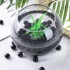DomeStar 1LB Glass Marbles Bulk, Marbles for Vases 0.63 Inch