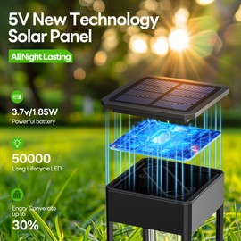 COXSENI Solar Pathway Lights Outdoor IP65 Waterproof, 6 Pack 6500K LED Auto On/Off Walkway Landscape Light for Yard Lawn Garden Patio Driveway Outside Decor, Cool White