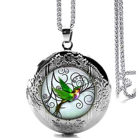 DianaL Boutique Silver Tone Hummingbird Locket Bird Pendant Necklace with a Gift Box