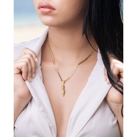 Barzel 18K Gold Plated Flat Marina Chain With Italian Horn Necklace Cornicello - Made In Brazil (18 Inches)