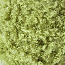 Pretty Jolly 2 Skeins Teddy Fur Yarn Super Soft Yarn Chunky Fluffy Faux Fur Yarn Fuzzy Yarn Eyelash Yarn for Crochet Knit -Total Length 2×50m(100g×2)(Tender Green)