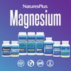 NaturesPlus Magtein Magnesium L-Threonate- High Strength, Calm, Mood, Memory, Focus,