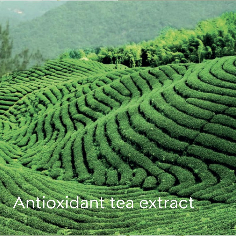 Doliderm Paris - Creamy Shower Gel, 33.8 Fl Oz (Jasmine