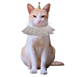 Mokburrim Cat Birthday Party Supplies Birthday Hat with Bib Bandana Set for Small Dogs Princess Costume Decoration Outfit for Pets Kitten(Pink Flower)