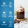 Syruvia Sugar Free Coffee Syrup, Swiss Chocolate Flavored Syrup for