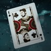 Theory11 Black Panther Playing Cards