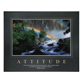 Gifts Delight Laminated 20x20 Poster: All Motivational Posters by Successories - Attitude Rainbow Motivational Poster