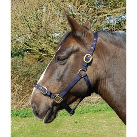 Rhinegold Shetland Nylon Head Collar, Navy
