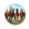 Merchandise for Fans Fridge Magnets for Horses Design Black Foal