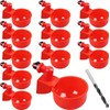 12-Pack Automatic Chicken Waterer Cups - Gravity Fed Poultry Watering