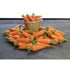 AIICraft 20 Vegetable Loose CarrotHandcrafted Decorative Home Garden