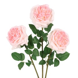 IPOPU Real Touch Austin Rose Peony Artificial Flowers 3PCS Big Bloom 5.12" Realistic Flowers 25.1" Long Stem Flowers for DIY Wedding Bouquets Home Party Decor(Peach)