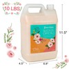 LotFancy LotFancy Silica Gel Flower Drying, 10 LBS Color Indicating