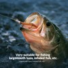 thkfish - Ganchos con cabeza de bala para pesca de
