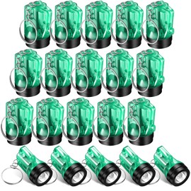 Ecation 20 Pcs Mini Flashlight Keychains Bulk Plastic Portable Handheld LED Key Chains for Birthday Party Favors(Green)