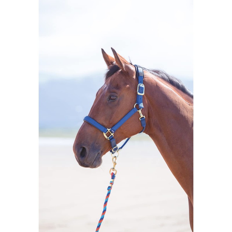 Shires Topaz Nylon Pony/Horse Headcollar - Navy Blue Cob