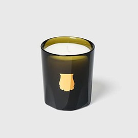 Trudon Gabriel Petite Candle 2.47 oz - Gourmand Chimney Fire