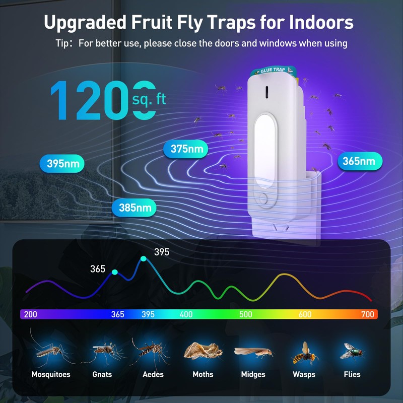 BUGAWAY Fruit Fly Trap for Indoors with 10 Refills, 2