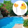 2Pcs Water Thermometer Set High Temperature Resistant Pool Chlorine Dispenser