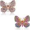 EAVUYIS Pack of 2 Brooch, Retro Butterfly Brooch Rhinestone Brooch