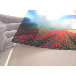 Ishikawa Washi OHP Film A4