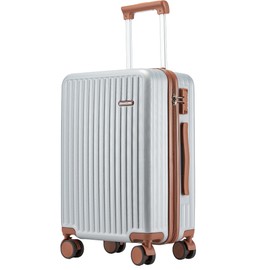 Ruausine Carry on Luggage Airline Approved, Hardside Carry-on Suitcase with Spinner Wheels, Hard Shell Lightweight Small Travel Luggage with TSA Lock (Silvery, 20 IN)
