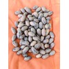 Single A Pecans: Georgia Grown Premium In-shell Pecans 5 lbs-