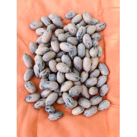Single A Pecans: Georgia Grown Premium In-shell Pecans 5 lbs- Perfect for snacking! Current season pecans!