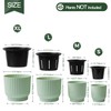 T4U 18 cm Plastic Flower Pot with Watering System, Self-Watering
