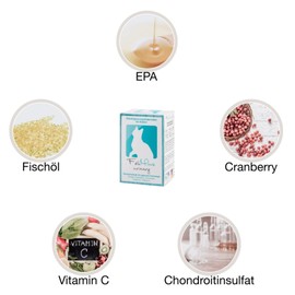 3 Pack (3 x 100 Capsules) FeliMove Urinary Urinary Tract Cat Urinary Tract (Struvit, Fus, FLUTD, Cystitis) With Unique Quad Protection from Veterinarians