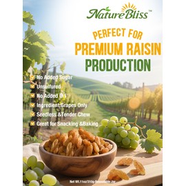 Naturebliss Premium Golden Raisins, Seedless Grape Dried Fruit Snacks, No Sugar Added, No Preservatives, Non-GMO, Naturally Shade-Dried Raisins, Healthy Power Gummy Snack (11 OZ/Pack of 1)