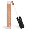 Inglot All Covered Under Eye Concealer, Designed for Sensitive Skin