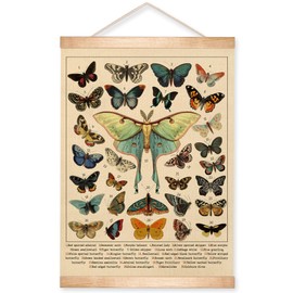Vintage Butterfly and Moth Poster, 14x18.5 Inch Insects Identification Chart, Retro Butterfly and Moth Illustration Print, Nature Aesthetics Canvas Hanging for Classroom, Study,School Library Decor(Beige)