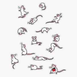 MAGNET Rat Party Magnet Bumper Sticker Car Magnet Flexible Reuseable Magnetic Vinyl 5"