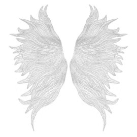 Ieron Shoulder Wings Embroidered Neckline Trim Organza Applique Sewing On Patches for DIY Clothing Accessories, Angel Wing Lace,1 Pair (White)