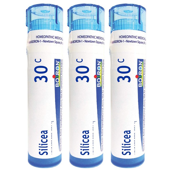 Boiron Silicea 30c Homeopathic Medicine for Fatigue and Irritability Due to Overwork - 80 Count (Pack of 3)