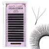 Arison Lashes Extensiones De Pestañas En Forma De W, Volumen