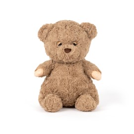 Wanwu World Teddy Bear Stuffed Animal 9 Inch Stuffed Bear Plush Toys Cute Teddy Bears Plush Christmas Birthday Gifts for Kids Boys Girls