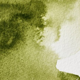 Winsor & Newton 14 ml Tube Professional Water Colour Paint, Olive Green