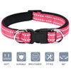 AUAUY Reflective Nylon Dog Collars, Double Security Adjustable Classic Pet