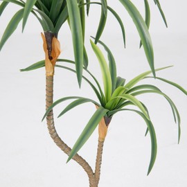 2 Pack 25.5" Artificial Dracaena | Real Touch Dragon Tree, Perfect for Indoor and Outdoor décor