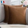 Douceur De Plumes Set of 2 Velvet Cushion Covers 40
