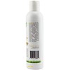 Organic Honey Body Lotion - Organic, Holistic & Healthy