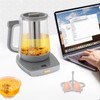 Electric Tea Kettle, Tea Water Boiler, Electric Glass Kettle with