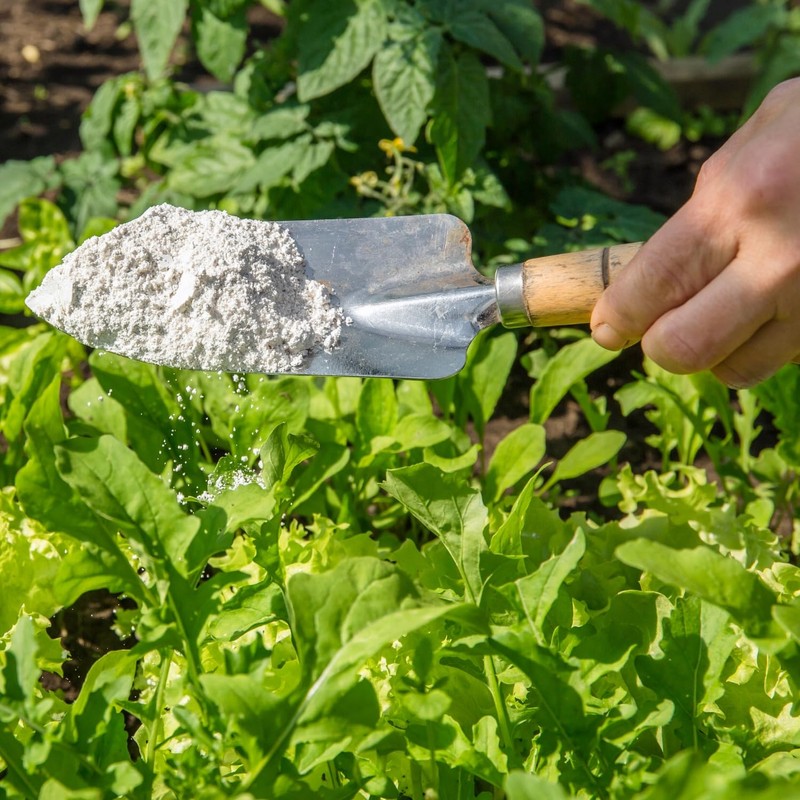 Diatomaceous Earth Food Grade - Half Pound